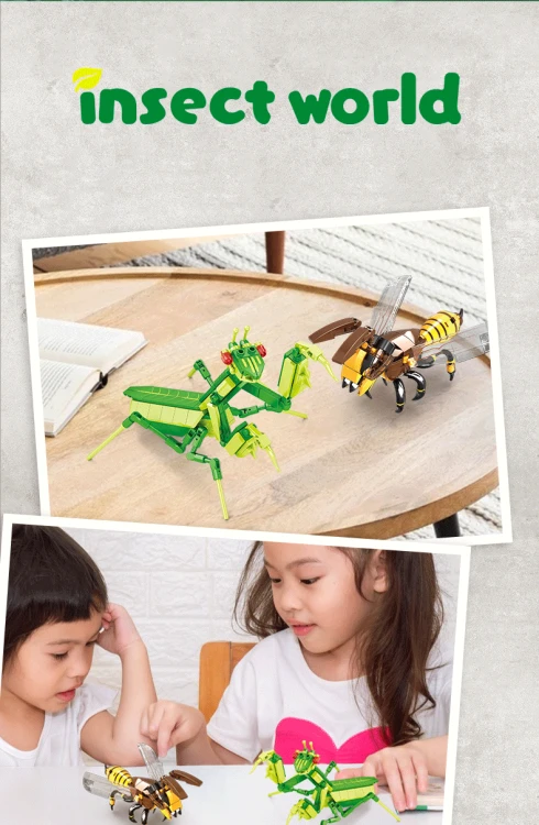 file_31717310435406.png