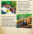 file_101717310435406.png