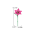 11543_TR.png
