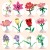 11543 (4).jpg